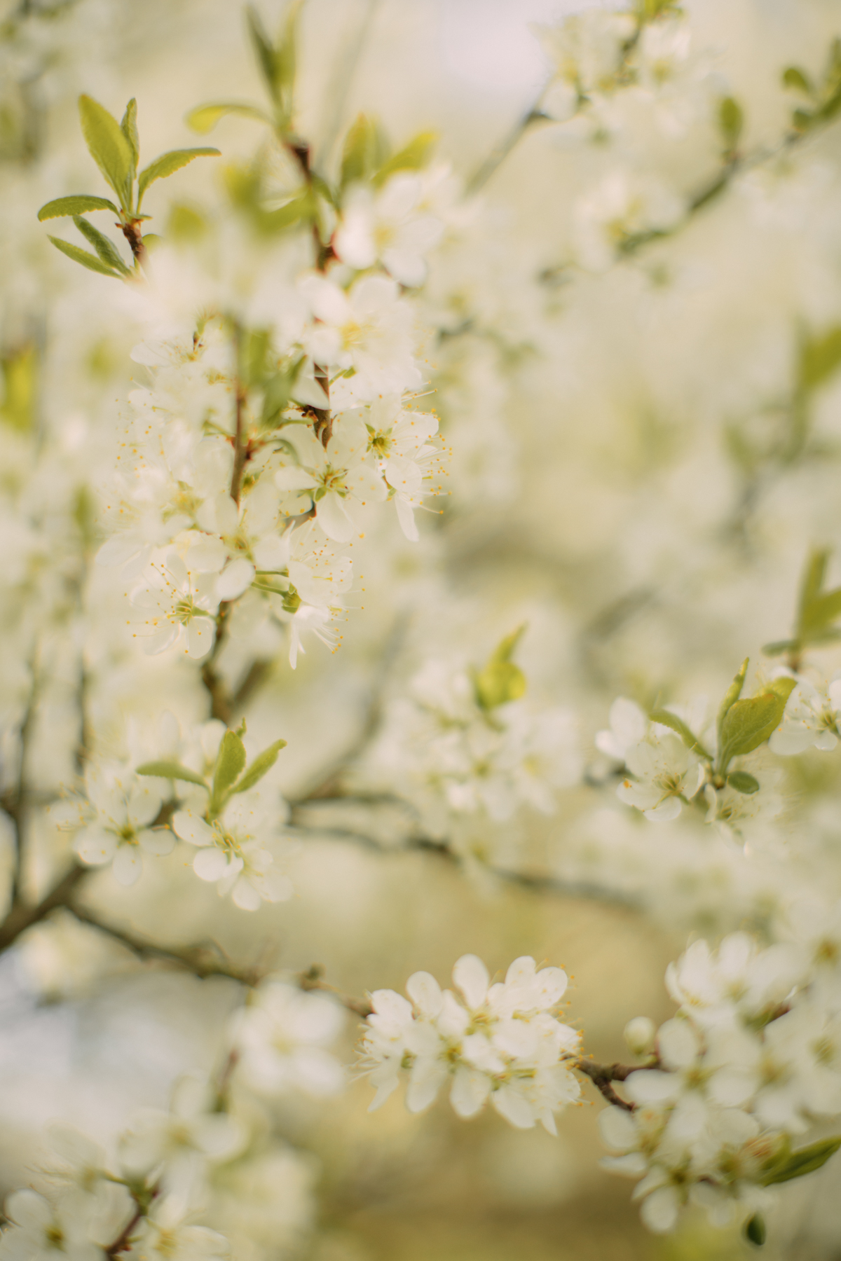 Two Spring Styles with VIVAIA shoes Two Spring Styles with VIVAIA shoes