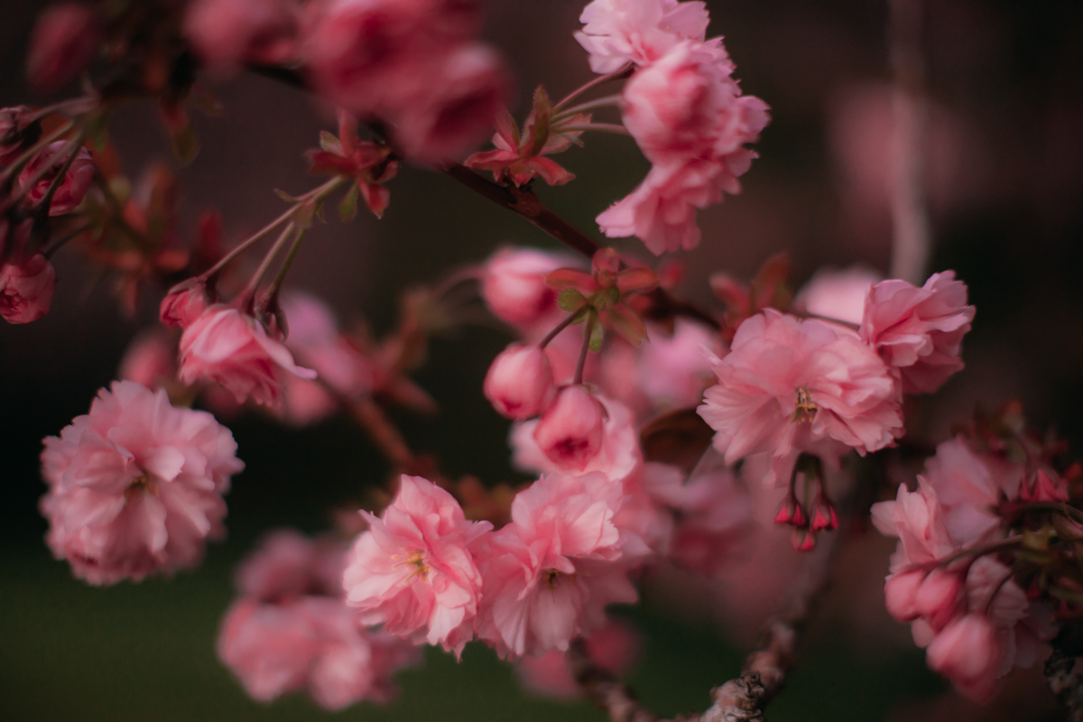 Two Spring Styles with VIVAIA shoes Two Spring Styles with VIVAIA shoes